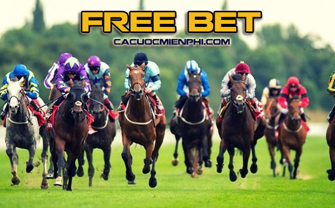 Việc tải ứng dụng P3bet mang lại những lợi ích gì cho người dùng? - P3bet