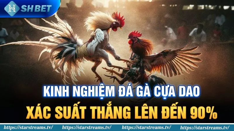 Đăng nhập 1Xbet dành cho Android và iOS - 1Xbet