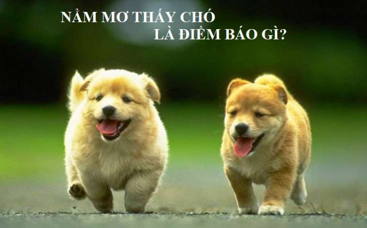 Giới thiệu ngắn gọn về Luck8com, một trang web cổng thông tin trò chơi - Luck8