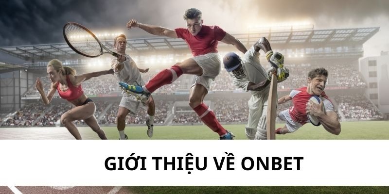 Tổng quan về trò chơi thẻ bài Sodo17 - Sodo17