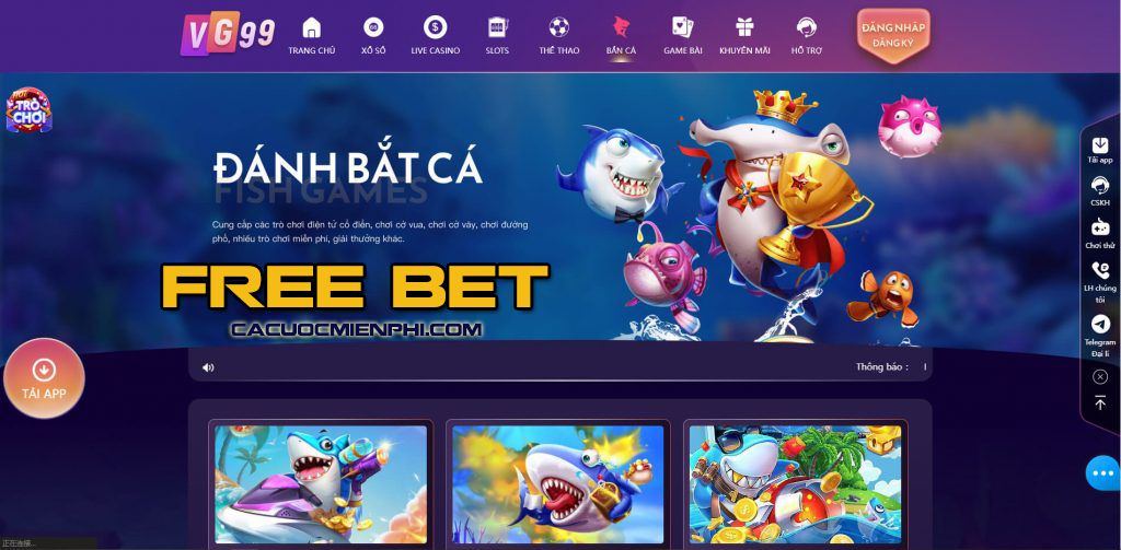 Một cuộc đánh giá chi tiết đã được tiến hành về hoạt động của trang web trò chơi cấp Fb9 - Fb9