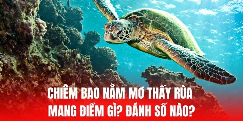 Mẹo quan trọng khi đăng nhập vào tài khoản Sbotop của bạn - Sbotop