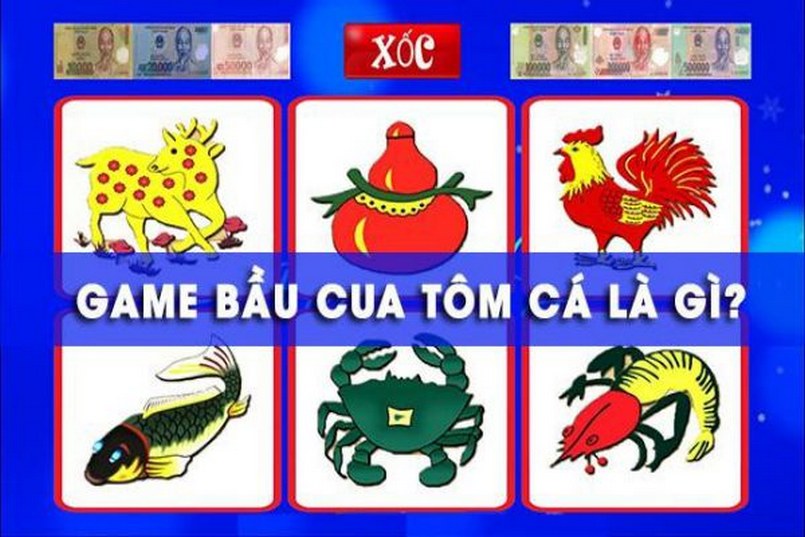 Điều gì khiến việc xem đá gà trực tiếp tại Vin777 hấp dẫn hơn so với các địa điểm khác? - Vin777