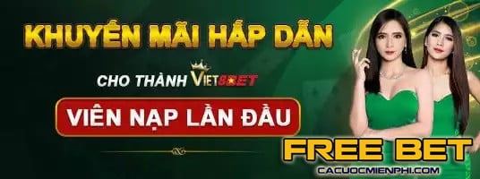 Kubet88 là một nền tảng cá cược thể thao uy tín với 20 năm kinh nghiệm - Kubet88