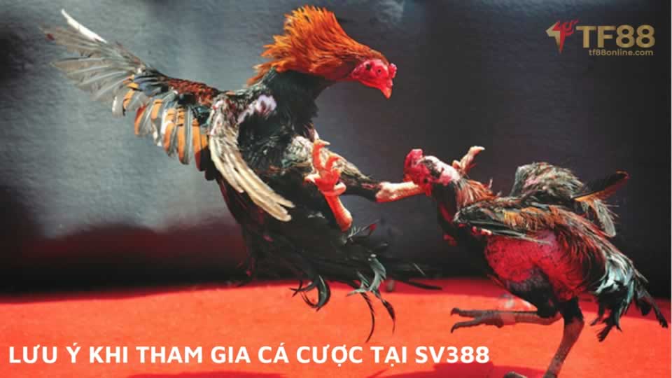 Giao diện trang web của Haywin Games - Haywin