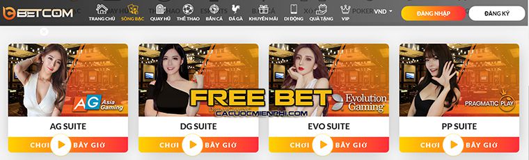 Lịch sử hình thành kênh truyền hình trực tuyến bóng đá 1Xbet TV - 1Xbet