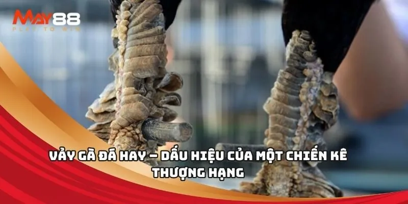 Bài đánh giá chi tiết về trang web cổng thông tin giải trí Okking - Okking