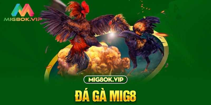 Dưới đây là một số thông tin về công ty game uy tín 123Win - 123Win
