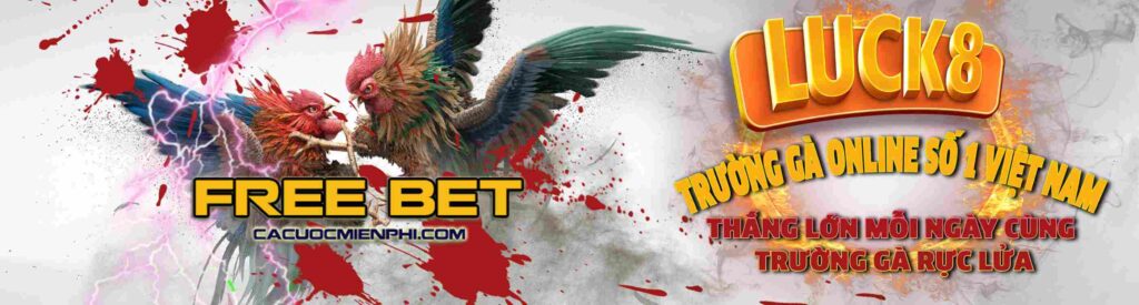 Kết luận về Công ty trò chơi For88 - For88