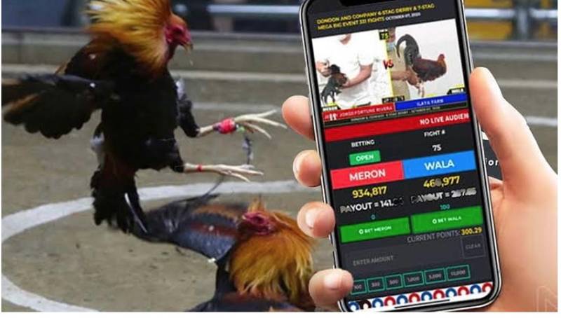 Phân tích điểm mạnh và điểm yếu của các trang web game cấp Dk8 - Dk8