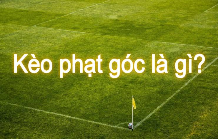 Tổng quan khu vực 9Dbet - 9Dbet