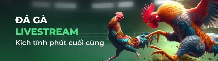 Trận đấu bóng đá cấp độ Pho88 là như thế nào? - Pho88