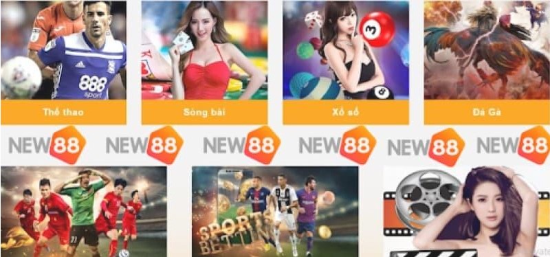 Cách các thành viên N666 nhận được ưu đãi khuyến mãi - N666